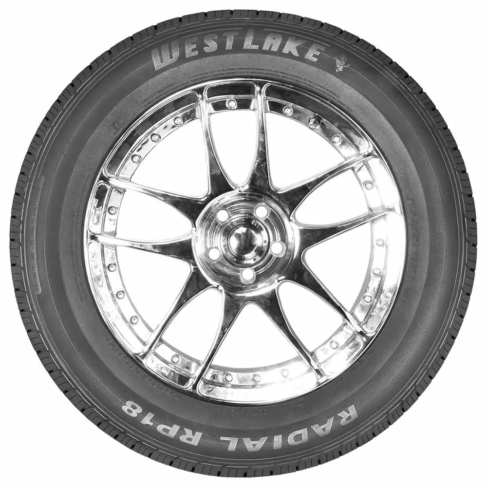 RP18-B.webp